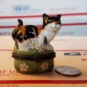 Black White Orange Stripes Cat Jewelry Box